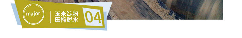 高壓重型定制款帶式壓濾機 9